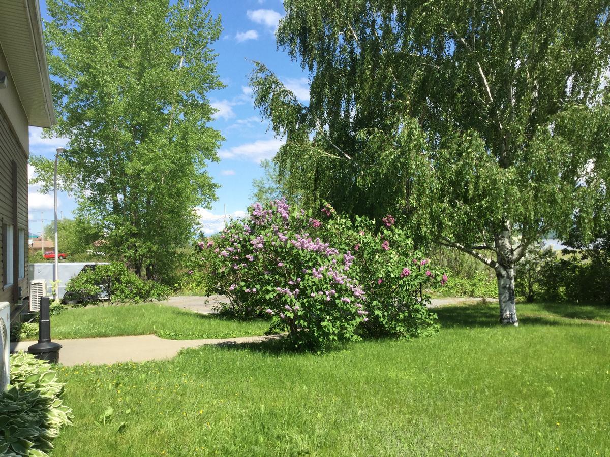Motel Et Condo Chez Charley Sainte-Anne-de-Beaupré エクステリア 写真